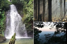 El bosque más bonito de Puebla con clima frío para caminar este verano