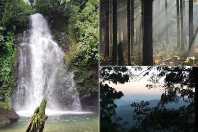 El bosque más bonito de Puebla con clima frío para caminar este verano