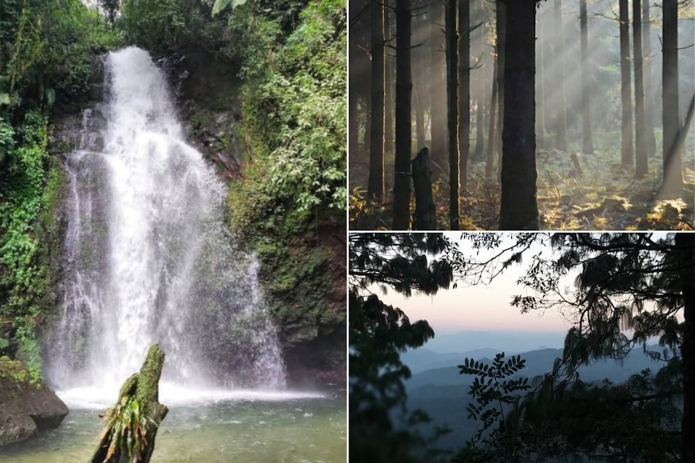 El bosque de niebla es uno des los destinos más frescos de Puebla | Foto: FB Bosque de Niebla