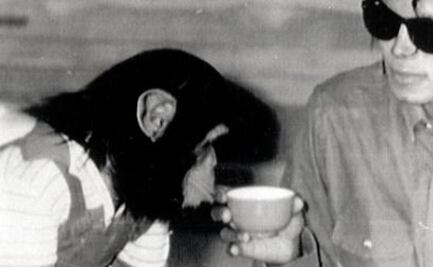 Bubbles, ¿qué pasó con el chimpancé de Michael Jackson?