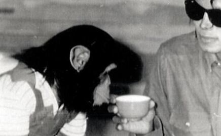 Bubbles, ¿qué pasó con el chimpancé de Michael Jackson?