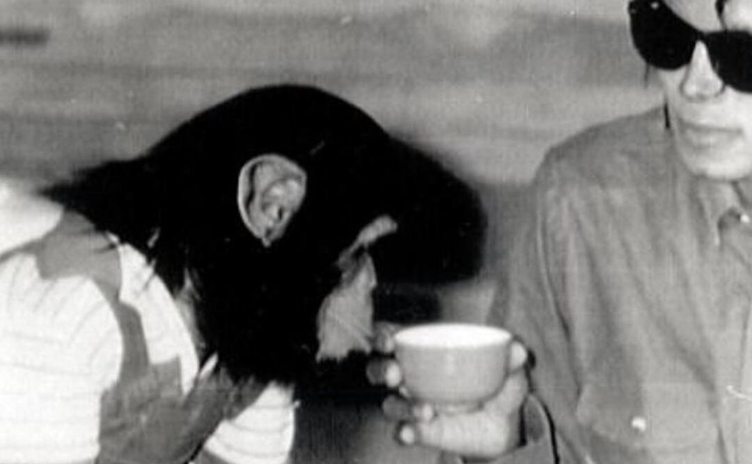 Foto: Twitter @sebasmjjj