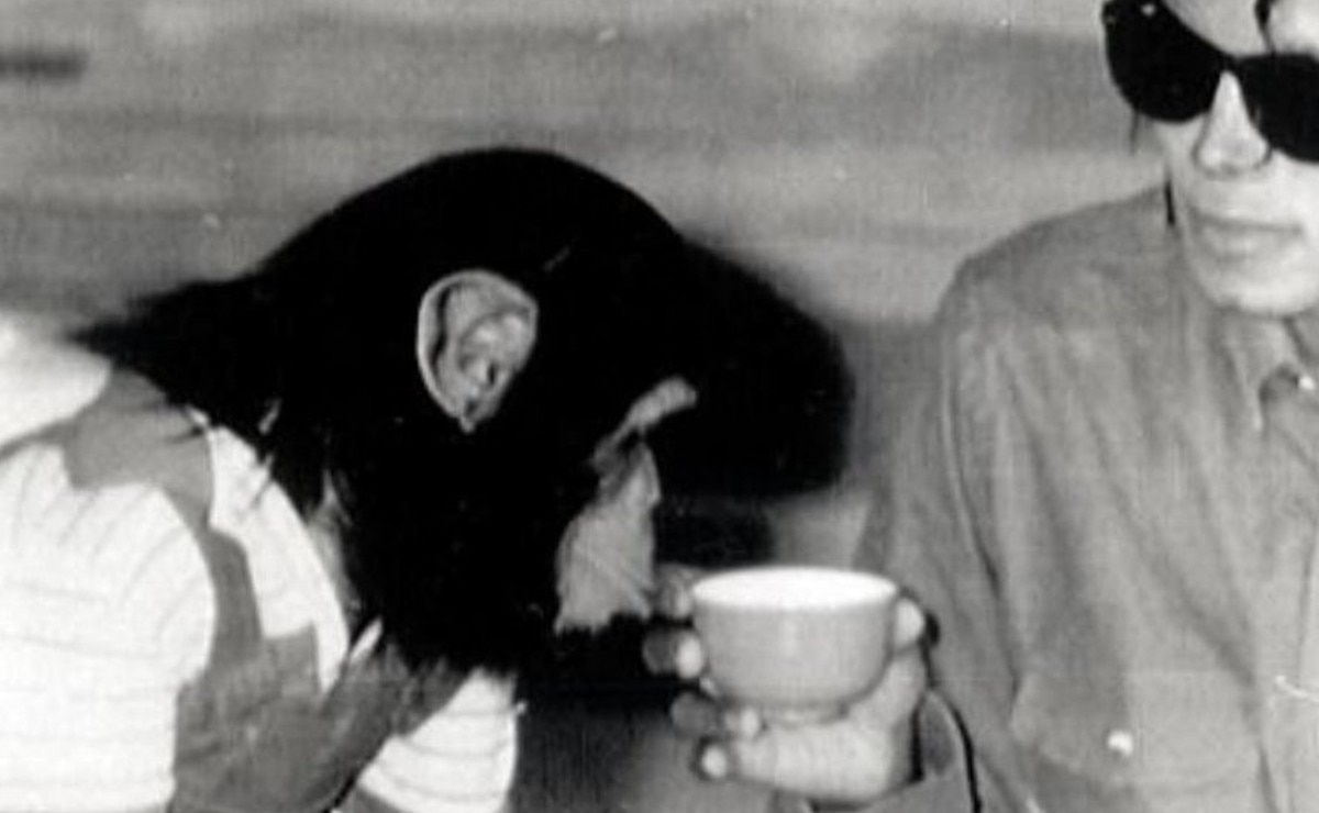 Bubbles, ¿qué pasó con el chimpancé de Michael Jackson?