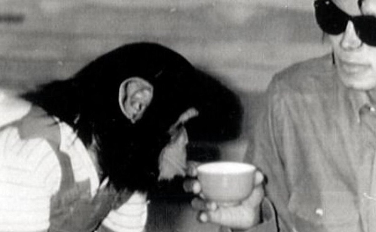 Bubbles, ¿qué pasó con el chimpancé de Michael Jackson?