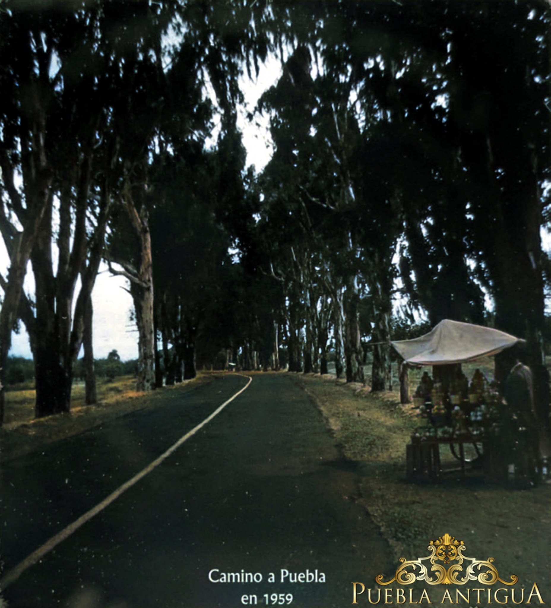 Carretera Federal México Puebla, en algún punto entre nuestra Ciudad y Huejotzingo hacia 1959. | David Ramírez Huitrón