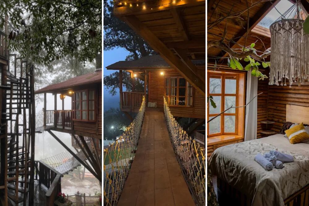 Hay cabañas increíbles en el Pueblo Mágico de Zacatlán | Foto: Cabañas Kali-Tree