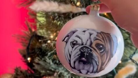 Esferas de Navidad pintadas a mano con el diseño de tu mascota 