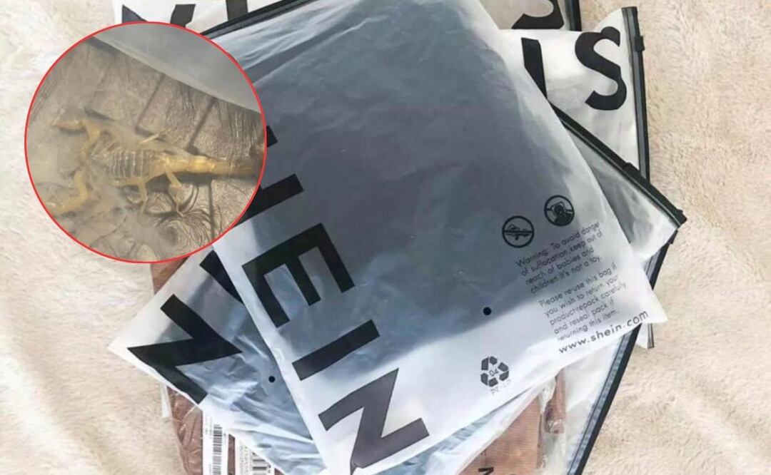 Una usuaria reportó haber encontrado un alacrán vivo dentro de un paquete de Shein | Foto: BBC / thelogisticsworld