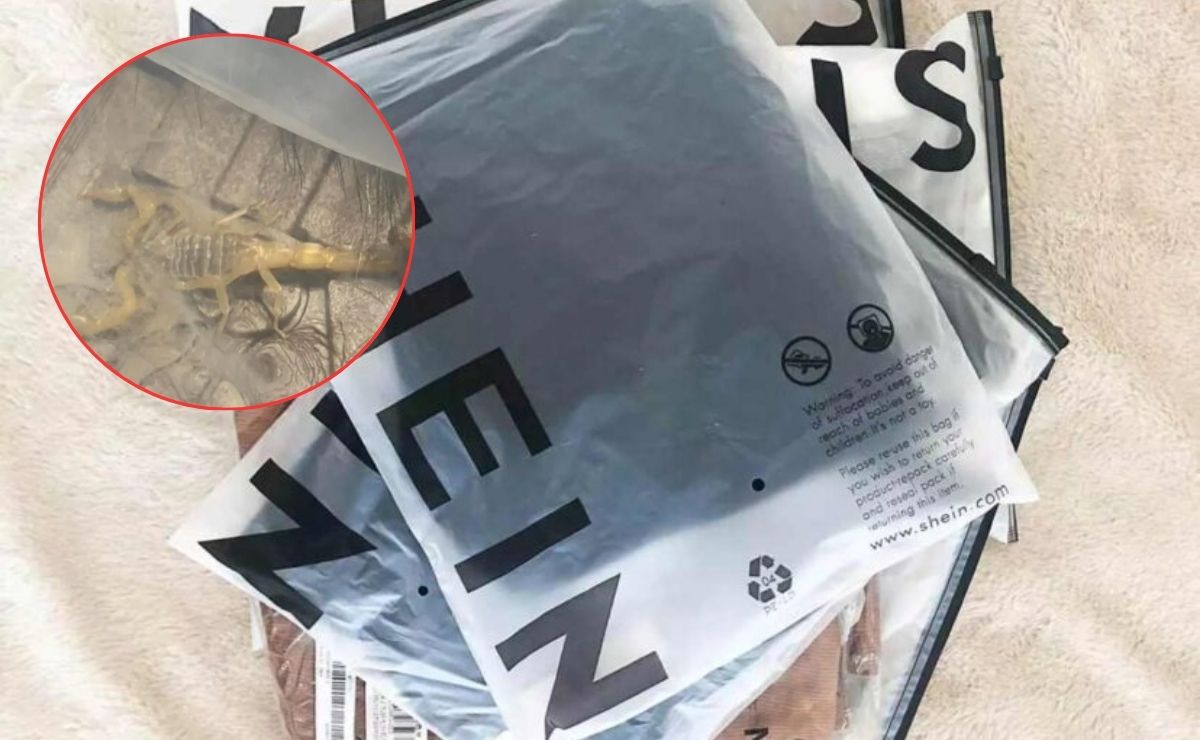 Una usuaria reportó haber encontrado un alacrán vivo dentro de un paquete de Shein | Foto: BBC / thelogisticsworld
