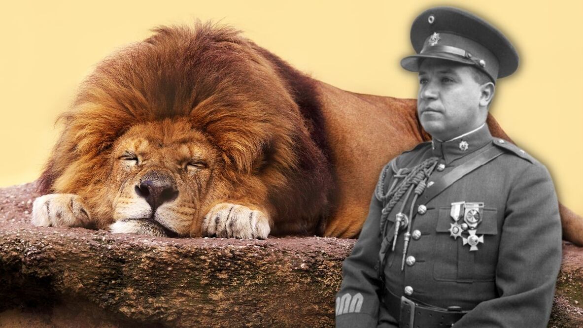 La triste historia del gobernador de Puebla que tuvo un león de mascota y lo mató
