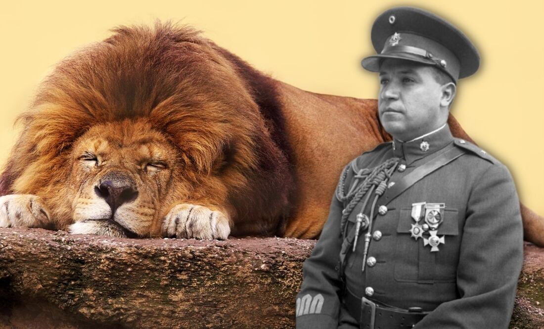 La triste historia del gobernador de Puebla que tuvo un león de mascota y lo mató