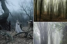 Este bosque de Puebla parece sacado de una película de Tim Burton