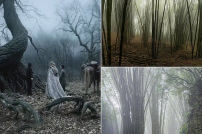 Este bosque de Puebla parece sacado de una película de Tim Burton