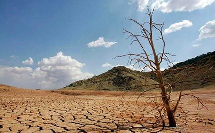 Sequía afecta a 73 municipios en valles altos y mixteca poblana