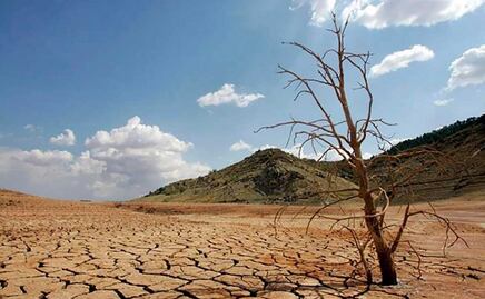 Sequía afecta a 73 municipios en valles altos y mixteca poblana