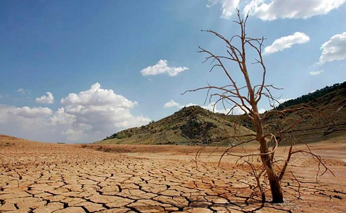 Sequía afecta a 73 municipios en valles altos y mixteca poblana