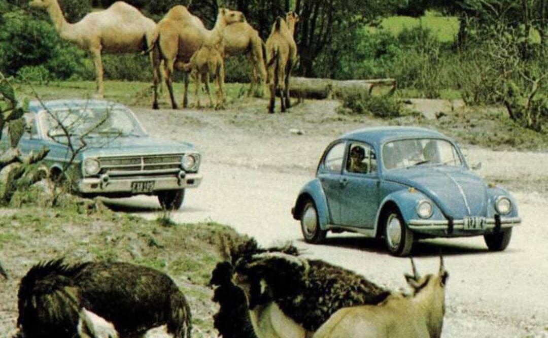 Africam Safari se inauguró el 2 de abril de 1972 | Facebook Africam Safari