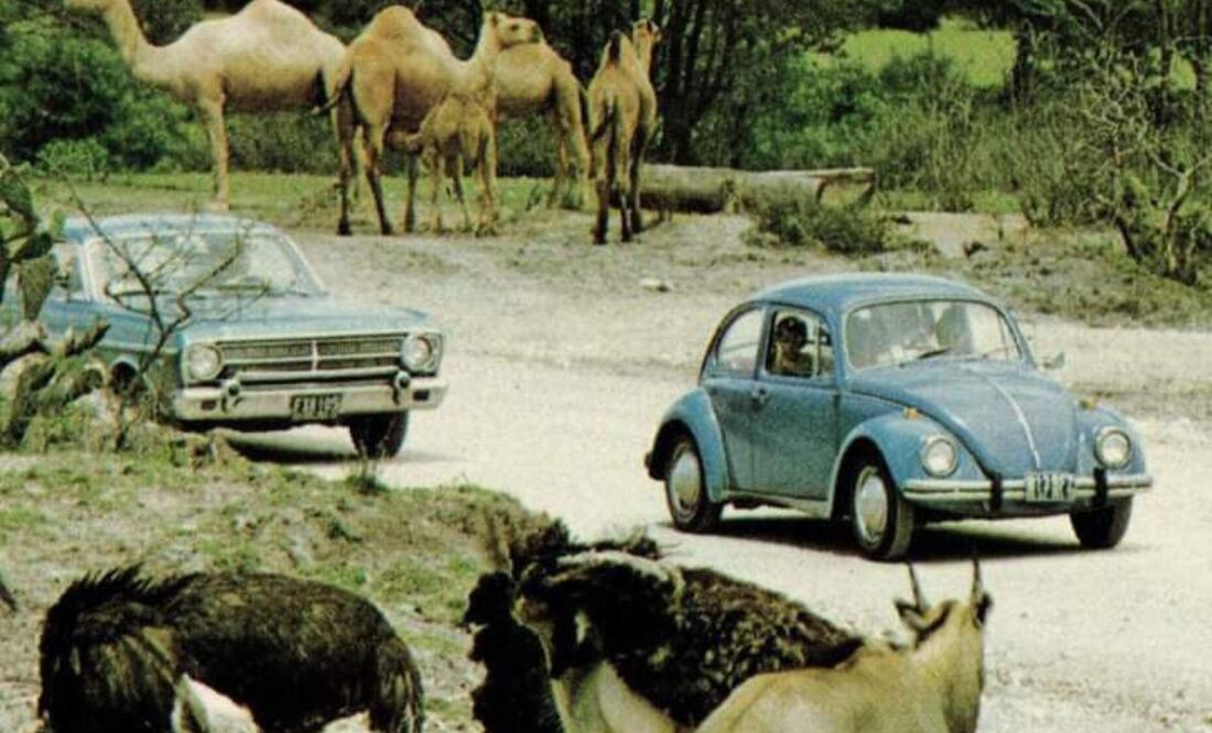Africam Safari se inauguró el 2 de abril de 1972 | Facebook Africam Safari