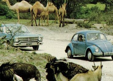 FOTOS Así era Africam Safari cuando fue inaugurado