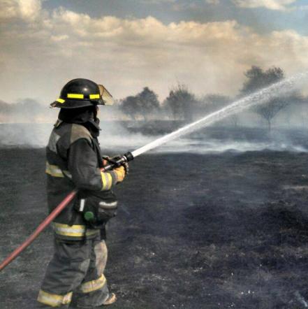 Bombero héroe. Él salvó a los perritos del socavón
