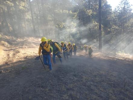 Incendio consume bosque del Pico de Orizaba, es el peor de la temporada 