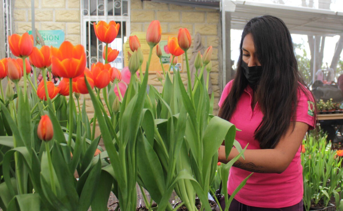 FOTO: Agencia Es Imagen para El Universal Puebla