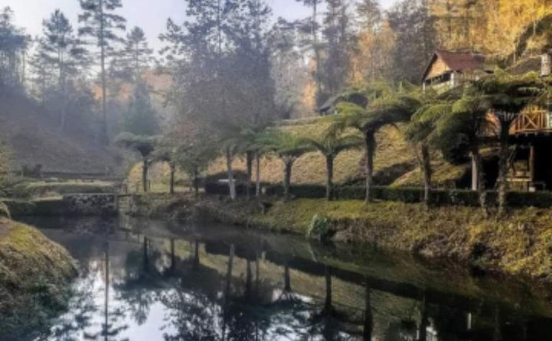 Paraíso Escondido está en Hueyapan, en la sierra nororiental de Puebla | Foto: Twitter Delia_Jacovs