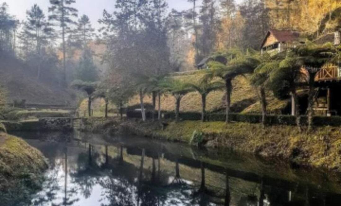 Paraíso Escondido está en Hueyapan, en la sierra nororiental de Puebla | Foto: Twitter Delia_Jacovs