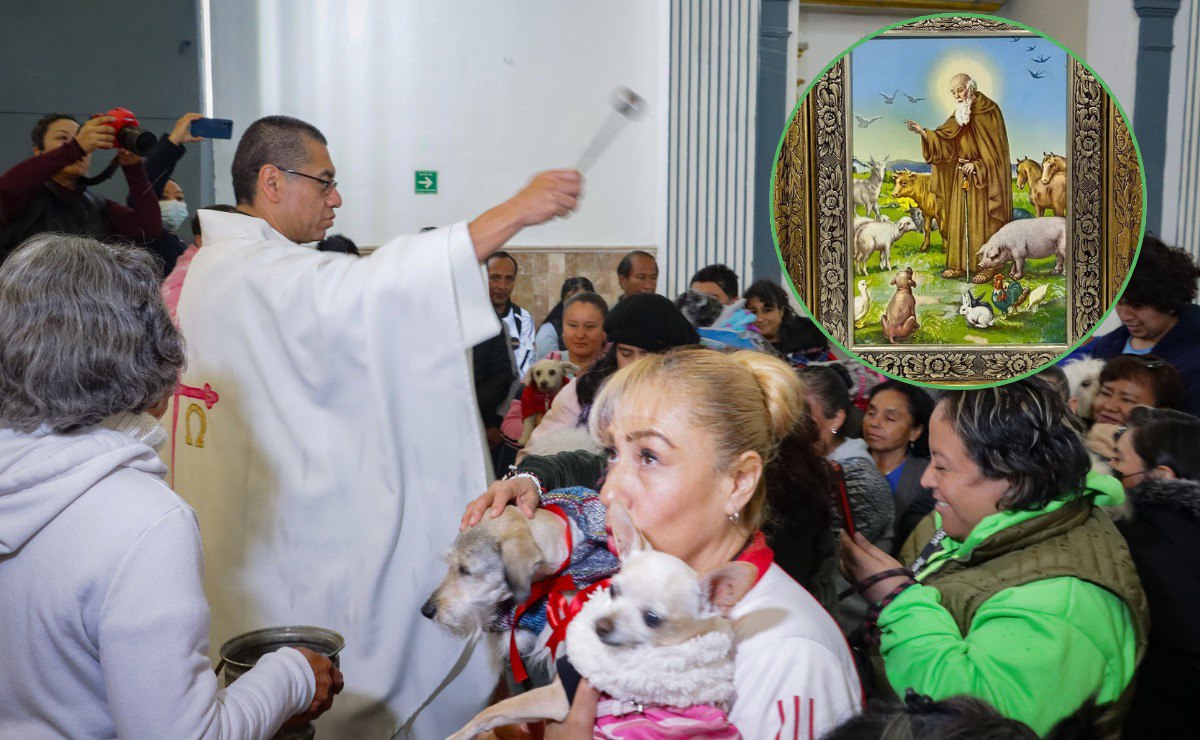 Las mascotas tienen su santo patrono | Foto: EsImagen