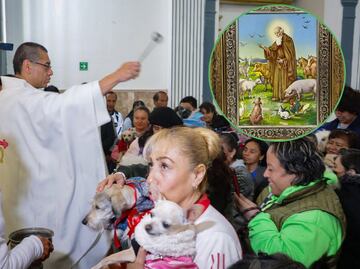 ¿Cuál es el santo de las mascotas?