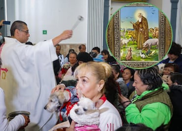 ¿Cuál es el santo de las mascotas?