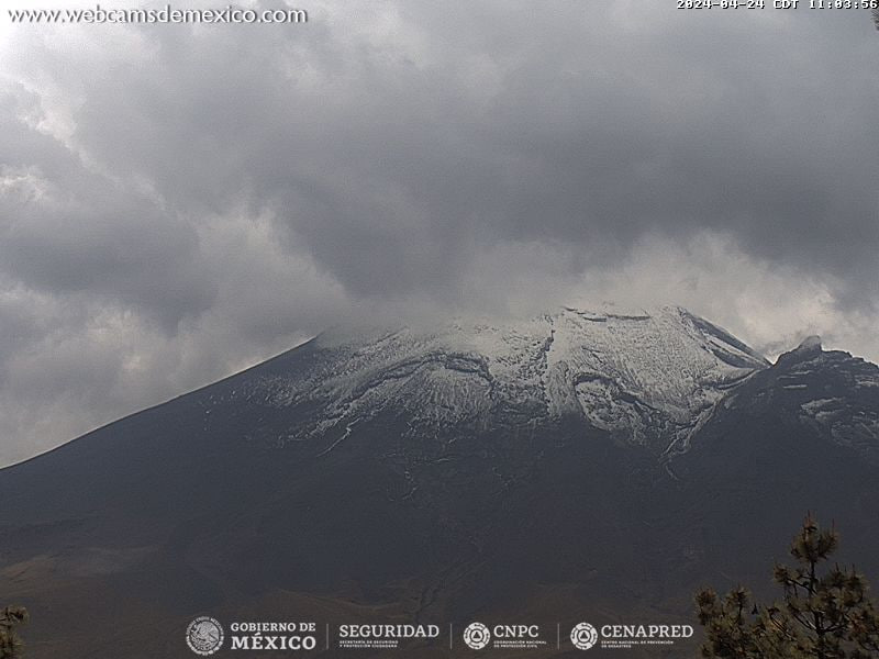 Durante el último día, se registraron 11 emisiones en el volcán Popocatépetl, las cuales estuvieron acompañadas de vapor de agua, gases volcánicos y pequeñas cantidades de ceniza.  

Foto: Producción El Universal Puebla 