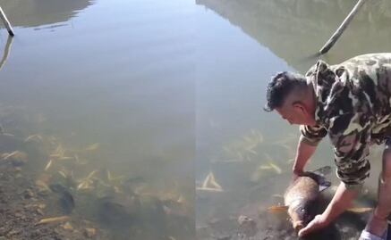Por esta causa murieron miles de peces en la Laguna de San Bernardino