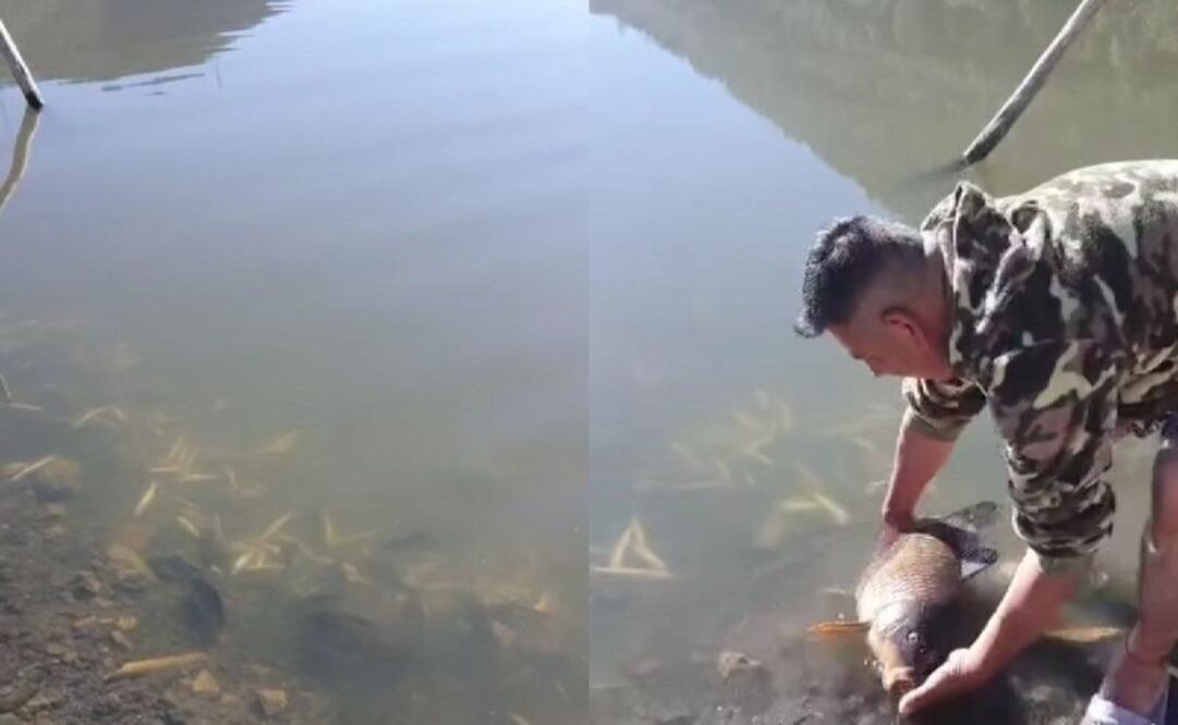 Peces muertos en San Bernardino Lagunas / Foto Captura Facebook