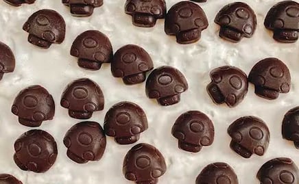 ¿Qué son los chocohongos y cuáles son sus efectos?