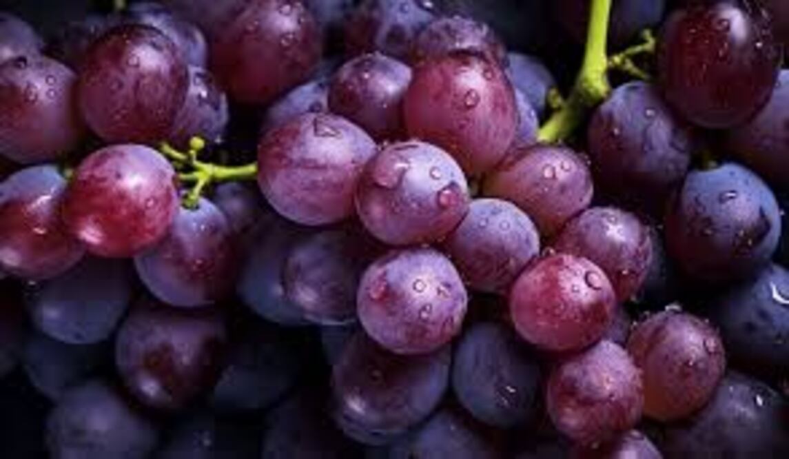 Incorporar uvas en tu dieta puede ser una forma sabrosa y saludable de apoyar la función hepática, pero siempre es bueno mantener una dieta equilibrada y consultar a un profesional de la salud si tienes preocupaciones específicas sobre tu hígado.

Foto: Producción El Universal Puebla