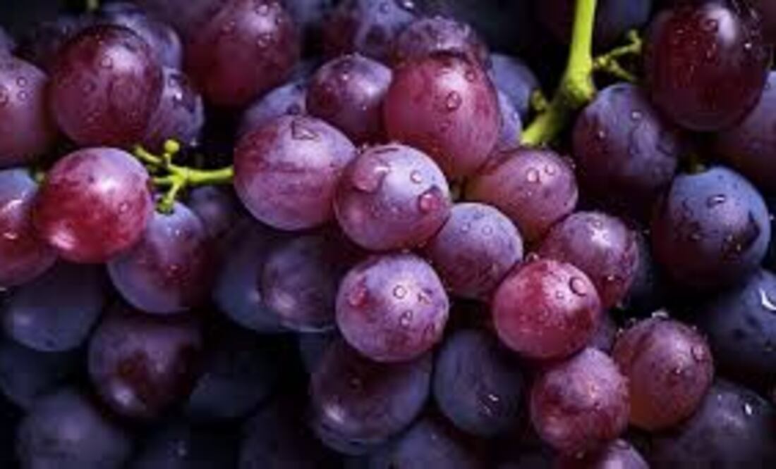 Incorporar uvas en tu dieta puede ser una forma sabrosa y saludable de apoyar la función hepática, pero siempre es bueno mantener una dieta equilibrada y consultar a un profesional de la salud si tienes preocupaciones específicas sobre tu hígado.
Foto: Producción El Universal Puebla