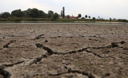 ¿Cómo afectará el fenómeno de El Niño a Puebla?