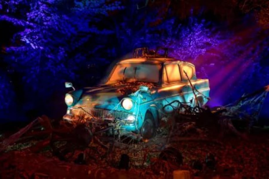 Foto: hpforbiddenforestexperience.com