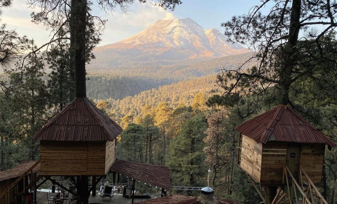 Las casas en el árbol están diseñadas para desconectarse. Foto: Aldea Pachamama