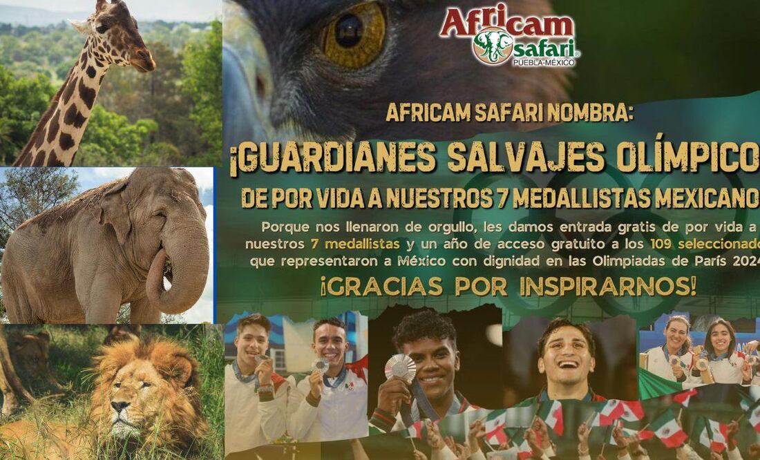 Africam Safari consiente a los atletas mexicanos | Foto: Facebook Africam Safari / Canvas