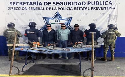 Detienen SSP y SEMAR a tres hombres por tala ilegal de árboles