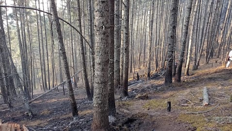 ¿Qué está pasando con el incendio de Libres?