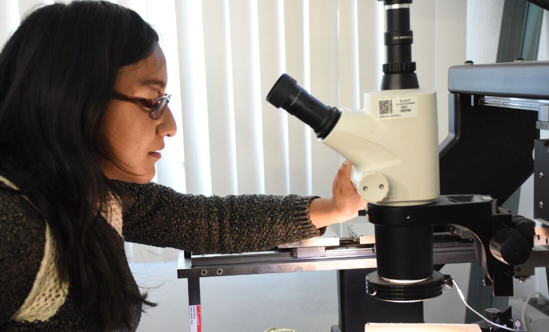 El ranking Best Global Universities 2022 la ubicó a la BUAP como la tercera mejor a nivel nacional / Foto: BUAP