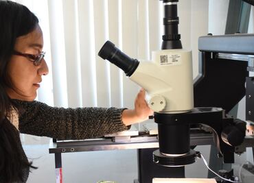 BUAP es la segunda mejor universidad pública de México