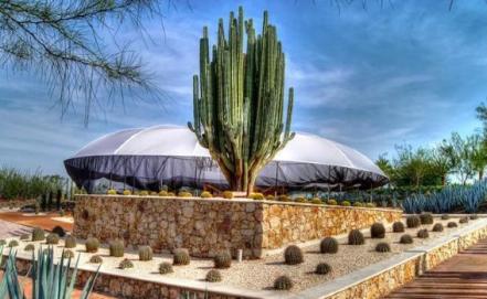Jardines de México ofrece tours nocturnos por las fiestas decembrinas