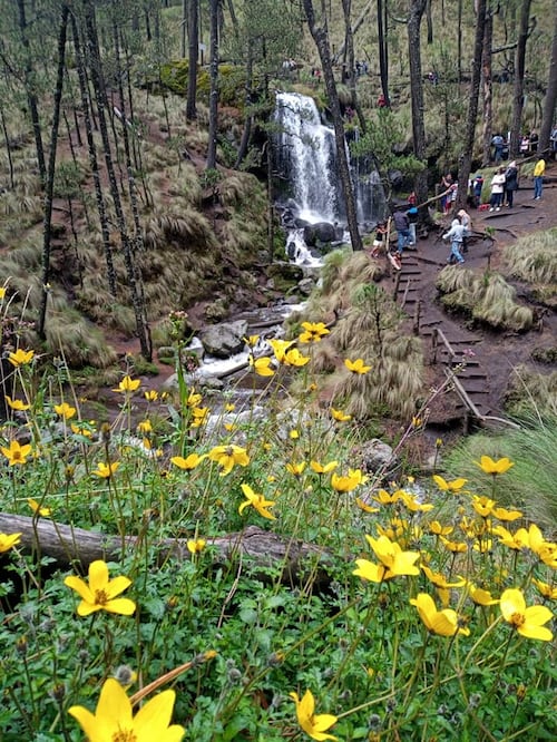 El Parque Ecológico Apatlaco se ubica en San Nicolás de los Ranchos | Facebook Parque Ecológico Apatlaco