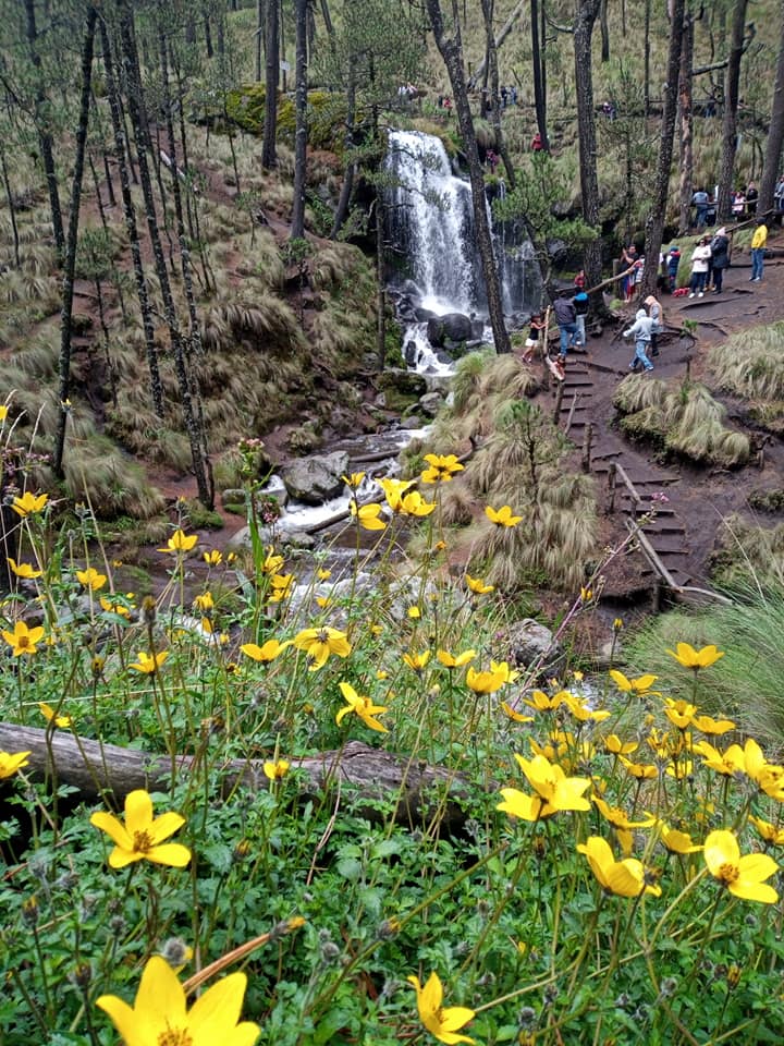 El Parque Ecológico Apatlaco se ubica en San Nicolás de los Ranchos | Facebook Parque Ecológico Apatlaco