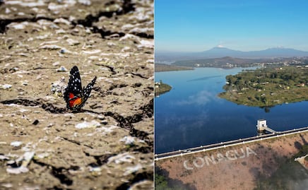 Sequía en México: ¿Cuál es el nivel de las presas en Puebla?