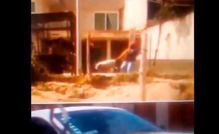 Despiden a titular de Protección Animal tras maltrato a perritos en Puebla